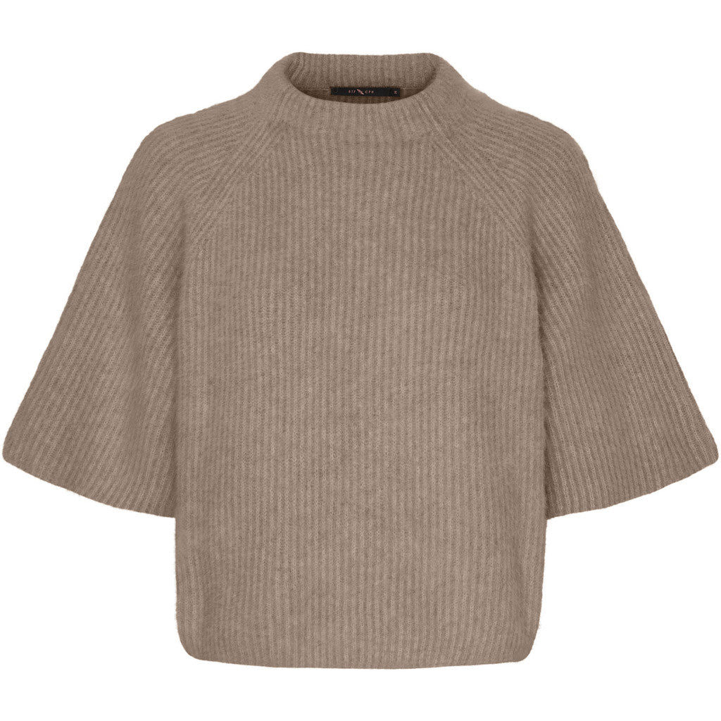 BTFCPH BTFTHEA Raccoon Pullover Pullovers